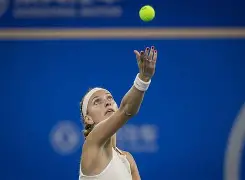 wtt法兰克福冠军赛2024最新情况