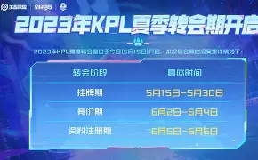 今日勒沃库森阵容解读